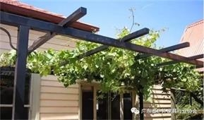 Porch and vines，The finishing work of the garden